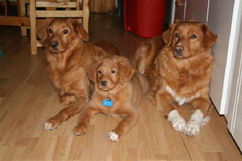 3 generationer, Pyttan, Dennis och Mitzy