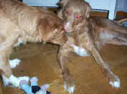 Mitzy & Kelly