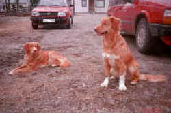 Cera & Mitzy