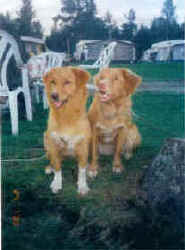 Cera & Mitzy