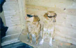 Mitzy & Spacy