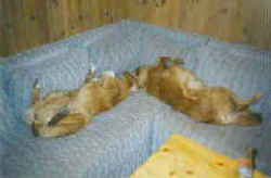 Mitzy & Spacy