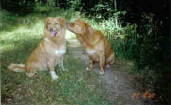 Mitzy & Hobbe