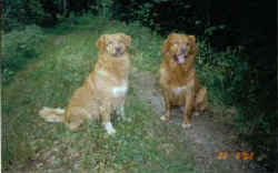 Mitzy & Hobbe