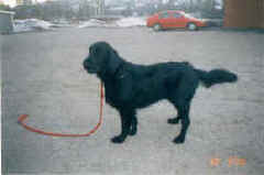 Wilma